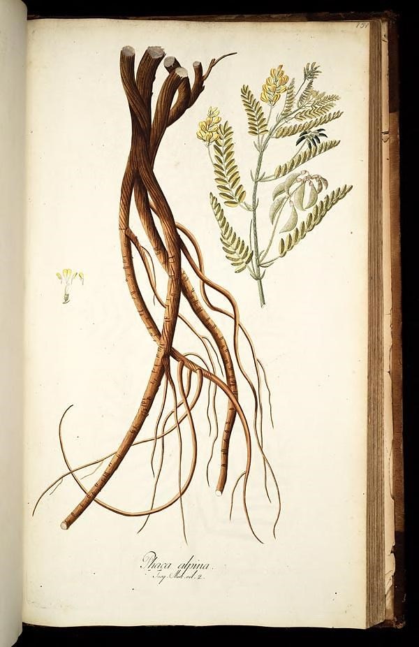 51272377669 11c27ed776 b