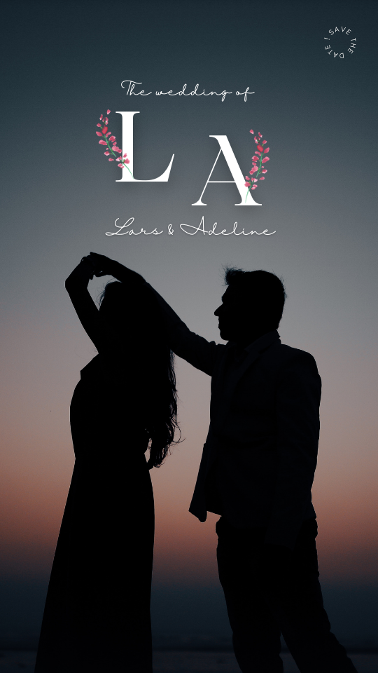 White and Pink Simple Wedding Instagram Story